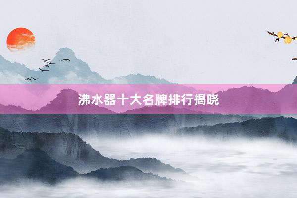 沸水器十大名牌排行揭晓